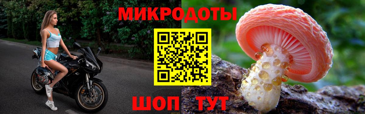что такое   Псилоцибиновые грибы Psilocybine cubensis  Вход с VPN  Сокол 